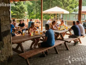 Prodej ubytování, Nová Bystřice - Albeř, 259 m2