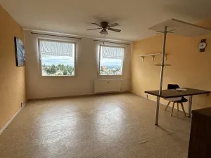 Pronájem bytu 1+kk, Planá, Bohušova, 31 m2