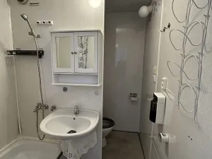 Pronájem bytu 1+kk, Planá, Bohušova, 31 m2