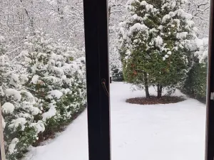 Pronájem bytu 2+1, Jemnice, Obůrka, 80 m2