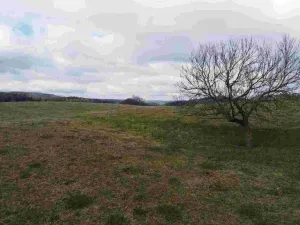 Prodej pozemku, Teplice nad Metují, 5185 m2