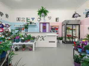 Pronájem obchodního prostoru, Holešov, U Letiště, 55 m2