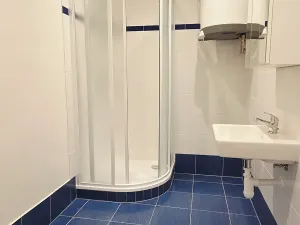 Pronájem bytu 2+1, Praha - Žižkov, Ambrožova, 83 m2