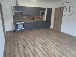 Pronájem bytu 2+kk, České Budějovice, Novohradská, 50 m2