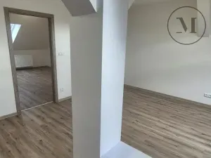 Pronájem bytu 2+kk, České Budějovice, Novohradská, 53 m2