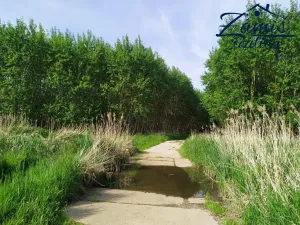 Prodej sadu/vinice, Kačice, K zahradě, 43712 m2