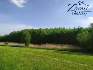 Prodej sadu/vinice, Kačice, K zahradě, 43712 m2