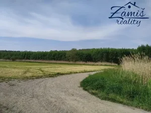 Prodej sadu/vinice, Kačice, K zahradě, 43712 m2