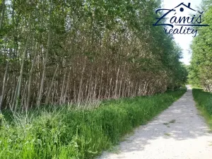 Prodej sadu/vinice, Kačice, K zahradě, 43712 m2