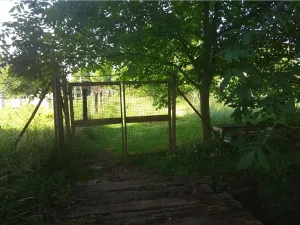 Prodej zahrady, Mohelnice, 391 m2