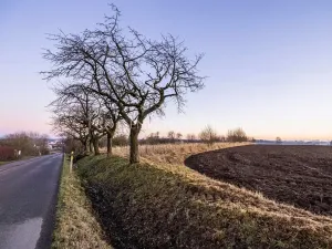 Prodej pozemku pro bydlení, Chotěboř, Hromádky z Jistebnice, 5327 m2