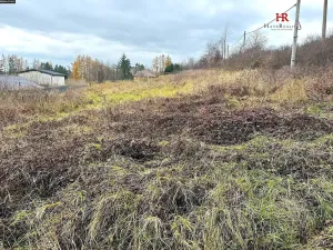 Prodej pozemku pro bydlení, Divišov, V Dolích, 1391 m2