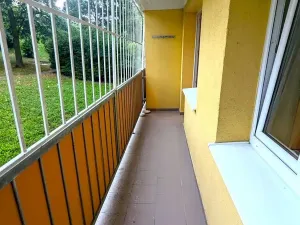 Pronájem bytu 1+1, Bílina, Alšova, 27 m2