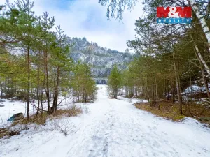 Prodej rybníku, Rabí, 28273 m2