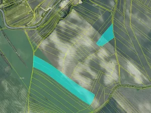 Prodej pole, Čejkovice, 76083 m2