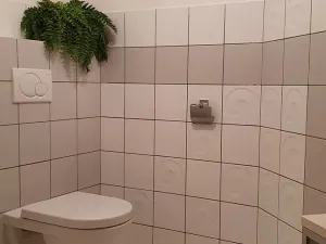 Prodej rodinného domu, Česká Třebová, Grégrova, 350 m2