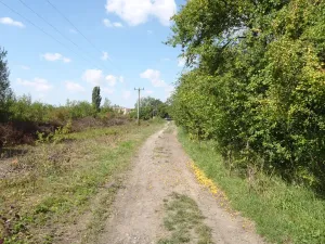 Prodej louky, Kosmonosy, 8401 m2