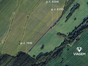 Prodej podílu pole, Strání, 811 m2