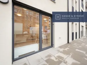 Pronájem bytu 1+kk, Pohořelice, 30 m2