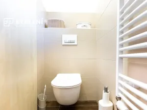 Prodej bytu 2+1, Teplice, Masarykova třída, 96 m2