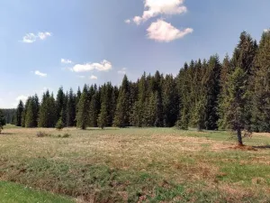 Prodej pole, Pohorská Ves - Pohoří na Šumavě, 62712 m2