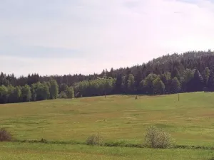 Prodej pole, Pohorská Ves - Janova Ves, 67144 m2