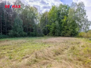 Prodej pozemku pro bydlení, Suchdol nad Lužnicí, 1001 m2