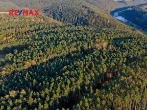 Prodej lesa, Všehrdy, 35057 m2