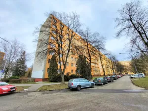 Pronájem bytu 1+kk, Ostrava - Poruba, Podroužkova, 25 m2