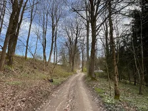 Prodej chalupy, Rychnov u Jablonce nad Nisou, 160 m2