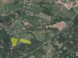 Prodej pole, Úbislavice, 49135 m2