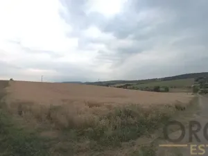 Prodej pole, Medlovice, 4802 m2