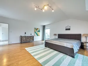 Pronájem rodinného domu, Dolní Břežany, V Úvozu, 380 m2