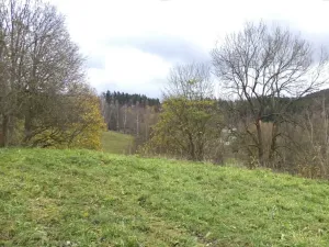 Dražba pozemku, Aš, 1691 m2