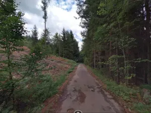 Dražba pozemku, Jívka, 1825 m2