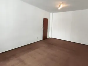 Pronájem bytu 1+1, Šenov, U Alejského dvora, 40 m2