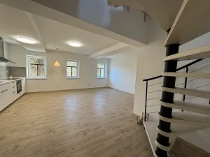 Pronájem bytu 4+kk, Rostěnice-Zvonovice - Rostěnice, 111 m2