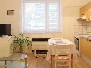 Prodej bytu 1+kk, Benešov, Čechova, 31 m2