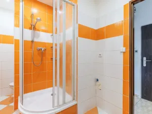 Pronájem bytu 2+1, České Budějovice, Nádražní, 50 m2