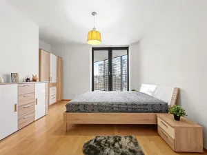 Prodej bytu 2+kk, Praha - Žižkov, Pitterova, 83 m2