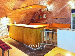 Prodej rodinného domu, Znojmo, Dolní Česká, 429 m2