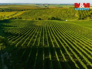 Prodej pole, Šardice, 56699 m2