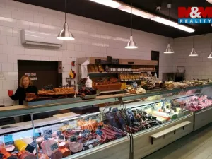 Pronájem obchodního prostoru, Černošice, Vrážská, 245 m2