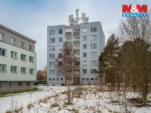 Prodej bytu 3+1, Kosmonosy, U masokombinátu, 65 m2