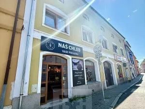 Prodej bytu 3+1, Štětí, Krátká, 106 m2