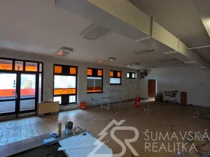 Prodej obchodního prostoru, Předslav, 494 m2