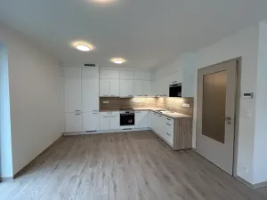 Pronájem bytu 2+kk, Písek, Pražská, 85 m2
