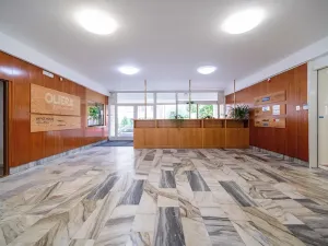 Pronájem kanceláře, Hradec Králové, Sušilova, 250 m2