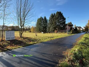 Prodej pozemku pro bydlení, Kynšperk nad Ohří, Petra Bezruče, 4145 m2