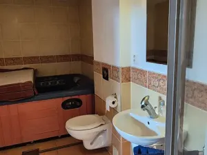 Pronájem rodinného domu, Krupka, Angreštový sad, 205 m2